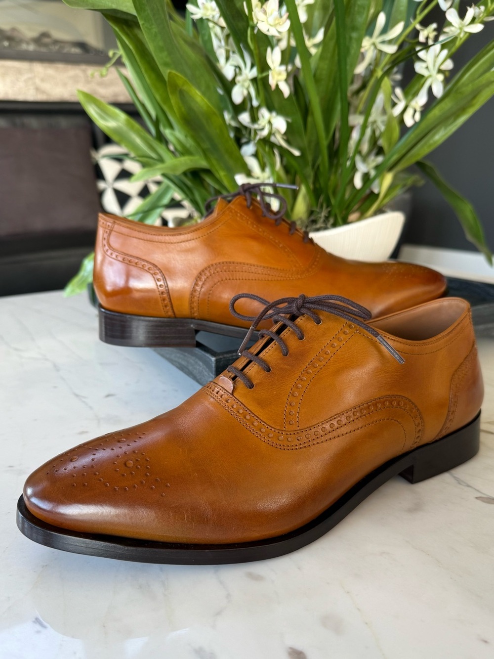 New Allen Edmonds Siena Medallion Oxford Dress Shoe Walnut Leather - Picture 6 of 15